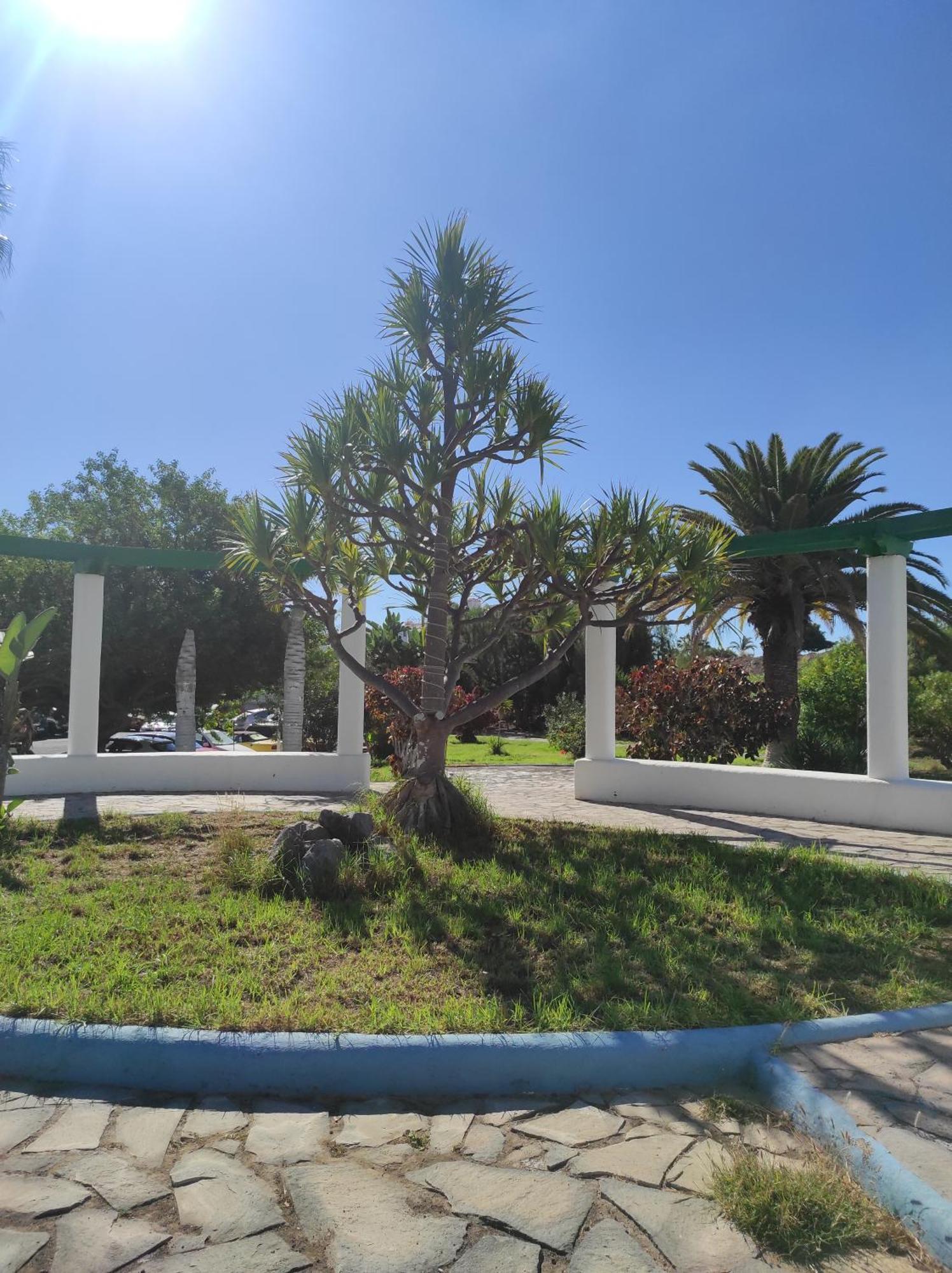 Maria Luxury Apartament Golf Del Sur Tenerife San Miguel de Abona Exterior photo